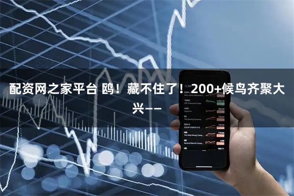 配资网之家平台 鸥！藏不住了！200+候鸟齐聚大兴——